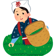 新茶